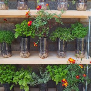 10 Enjoying Garden Ideas On A Budget 16