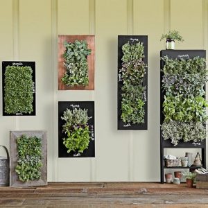 11 Fabulous Wall Planters Indoor Living Wall Ideas 05