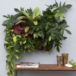 11 Fabulous Wall Planters Indoor Living Wall Ideas 20