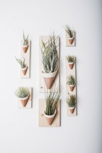 11 Fabulous Wall Planters Indoor Living Wall Ideas 28