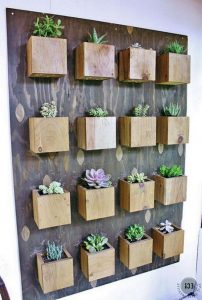 11 Lovely Small Cactus Ideas For Interior Decorations 01
