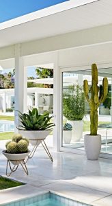 11 Lovely Small Cactus Ideas For Interior Decorations 02