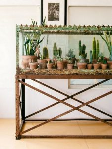 11 Lovely Small Cactus Ideas For Interior Decorations 03
