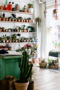 11 Lovely Small Cactus Ideas For Interior Decorations 05