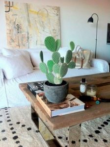 11 Lovely Small Cactus Ideas For Interior Decorations 07