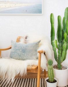 11 Lovely Small Cactus Ideas For Interior Decorations 09
