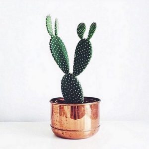 11 Lovely Small Cactus Ideas For Interior Decorations 10
