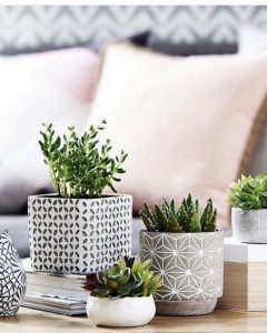 11 Lovely Small Cactus Ideas For Interior Decorations 16