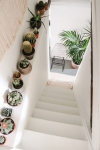 11 Lovely Small Cactus Ideas For Interior Decorations 23