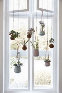11 Lovely Small Cactus Ideas For Interior Decorations 27