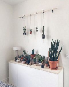 11 Lovely Small Cactus Ideas For Interior Decorations 28