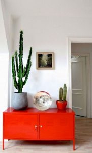 11 Lovely Small Cactus Ideas For Interior Decorations 29