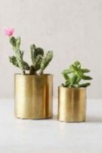 11 Lovely Small Cactus Ideas For Interior Decorations 31