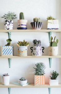 11 Lovely Small Cactus Ideas For Interior Decorations 32