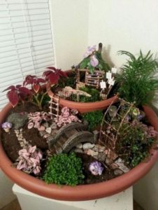 17 Beautiful Fairy Garden Plants Ideas For Around Your Side Home 16