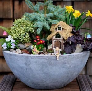 17 Beautiful Fairy Garden Plants Ideas For Around Your Side Home 30