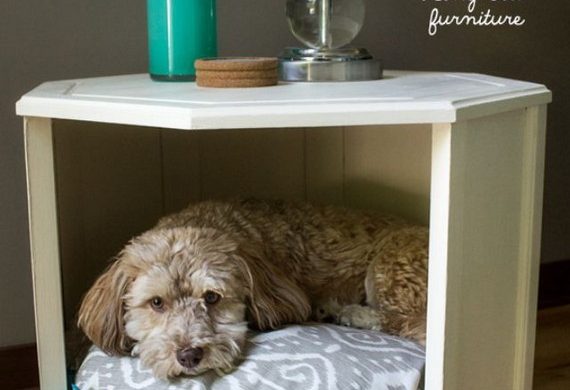 17 Amazing Appealing Diy Dog Beds Inspiration Ideas 21