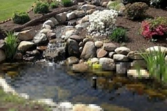 19 Gorgeous Backyard Ponds Water Garden Landscaping Ideas 20