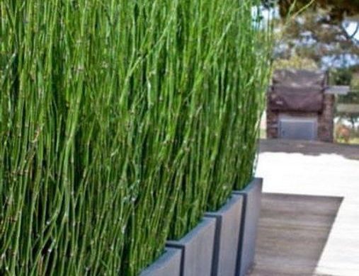 15 Stunning Bamboo Fence Decor Ideas You Can Add For Your Home 15