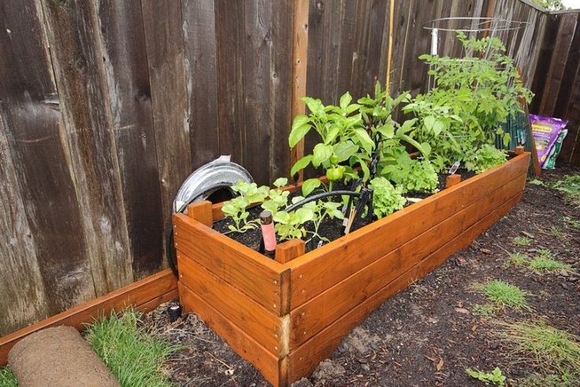 21 Best Container Vegetables Garden Inspirations Ideas 04