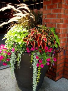 13 Brilliant Flower Pots Ideas For Your Garden 03
