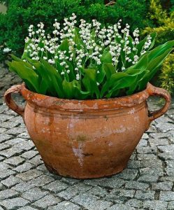 13 Brilliant Flower Pots Ideas For Your Garden 19
