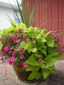 13 Brilliant Flower Pots Ideas For Your Garden 27