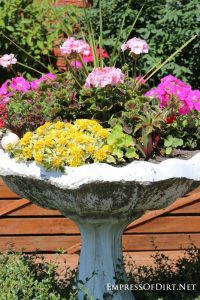 13 Brilliant Flower Pots Ideas For Your Garden 33