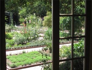 22 Beautiful Small Backyard Gardening Ideas With Indian Style 32