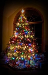 11 Pretty Ideas Christmas Tree Themes Home Decor Everyday 39