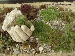14 Low Budget DIY Gardening Projects Design Ideas 22