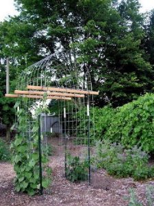 14 Low Budget DIY Gardening Projects Design Ideas 30