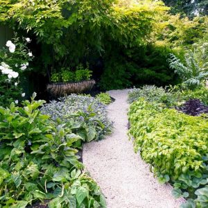 15 Wonderful Edible Plants Ideas To Enhance Your Backyard Garden 06