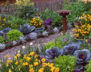 15 Wonderful Edible Plants Ideas To Enhance Your Backyard Garden 11