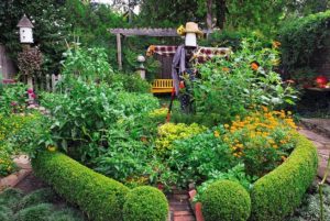 15 Wonderful Edible Plants Ideas To Enhance Your Backyard Garden 15