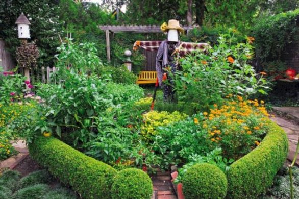 15 Wonderful Edible Plants Ideas To Enhance Your Backyard Garden 15