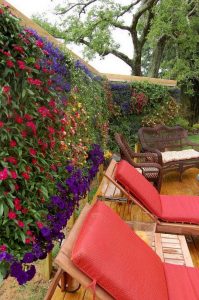 19 Charming DIY Wall Gardens Outdoor Design Best Ideas 30