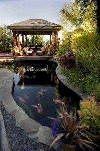 13 Gorgeous Backyard Pond Designs Ideas 29