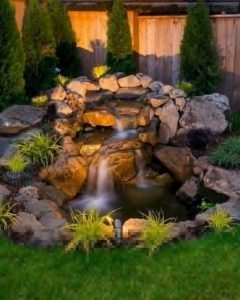 13 Gorgeous Backyard Pond Designs Ideas 31
