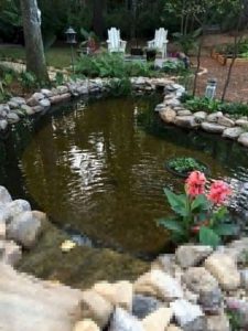 13 Gorgeous Backyard Pond Designs Ideas 33
